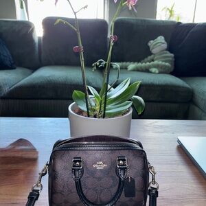 Coach Mini Bag in Dark Brown